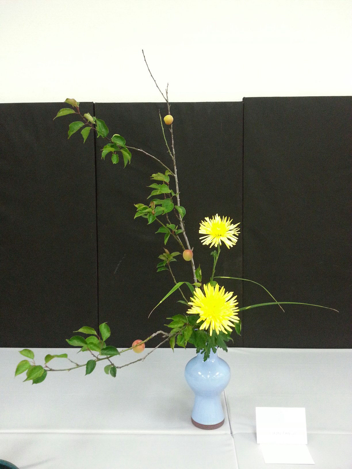 Ikebana Flower Arrangement by Nakaba Emtesali