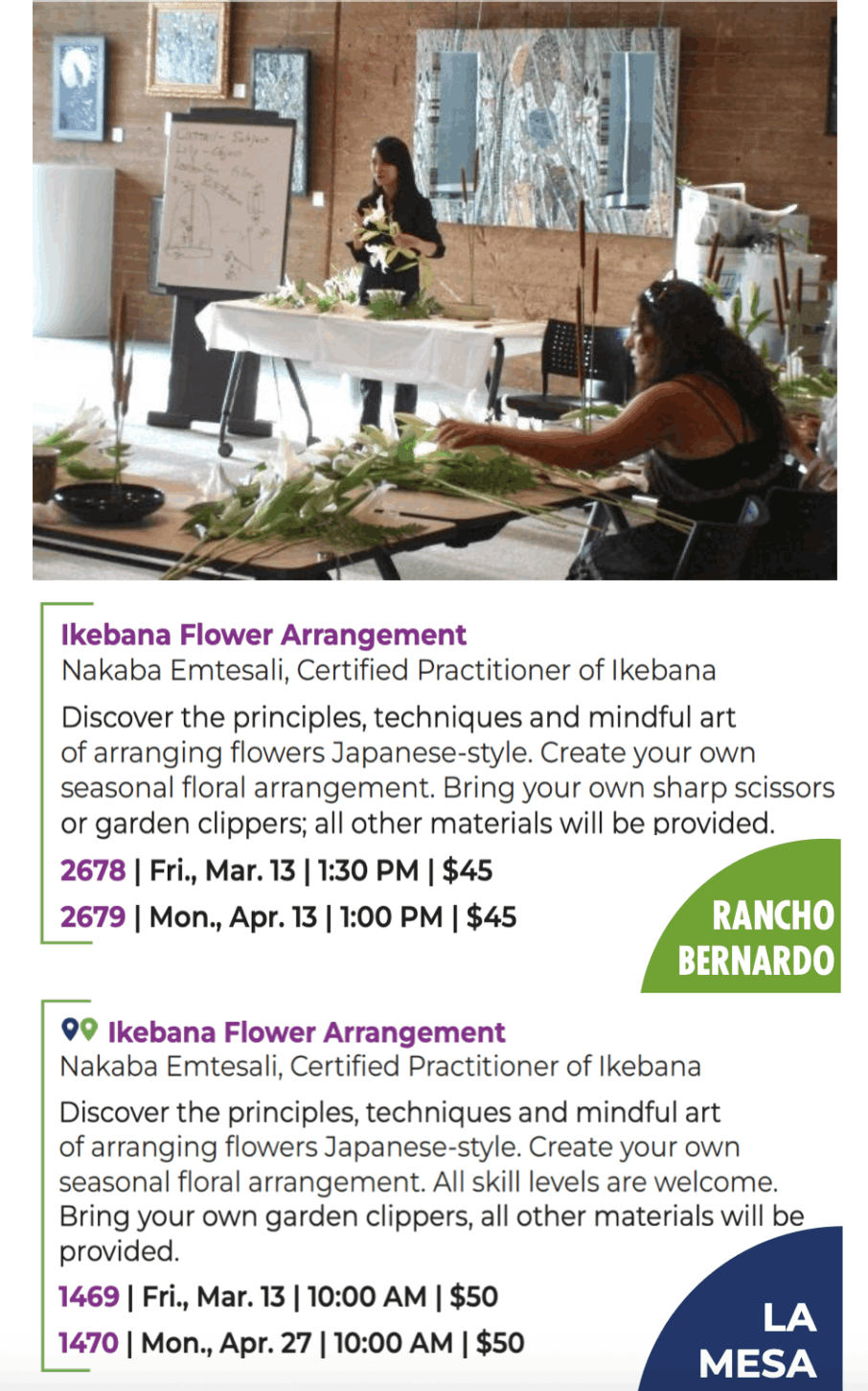 Ikebana Workshop by Nakaba Emtesali